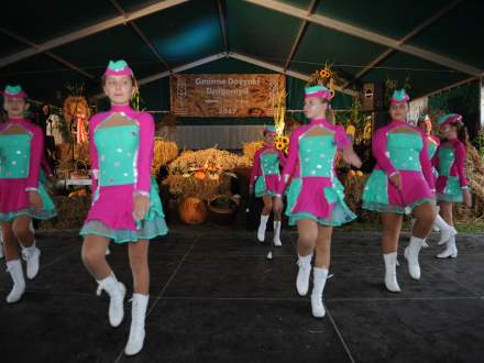 Dożynki Gminne w Drogomyślu 2017